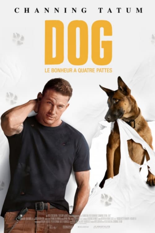 Poster Film