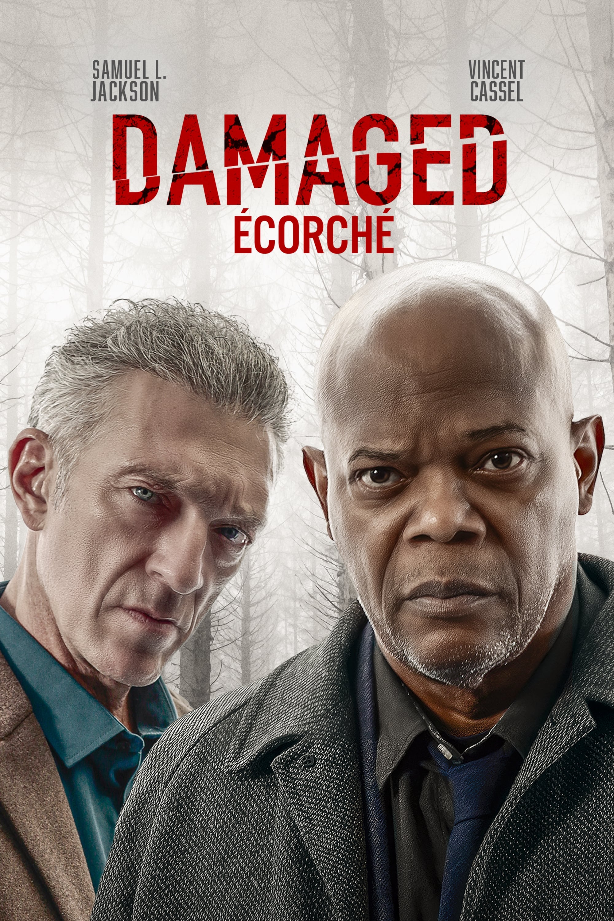 Poster Film